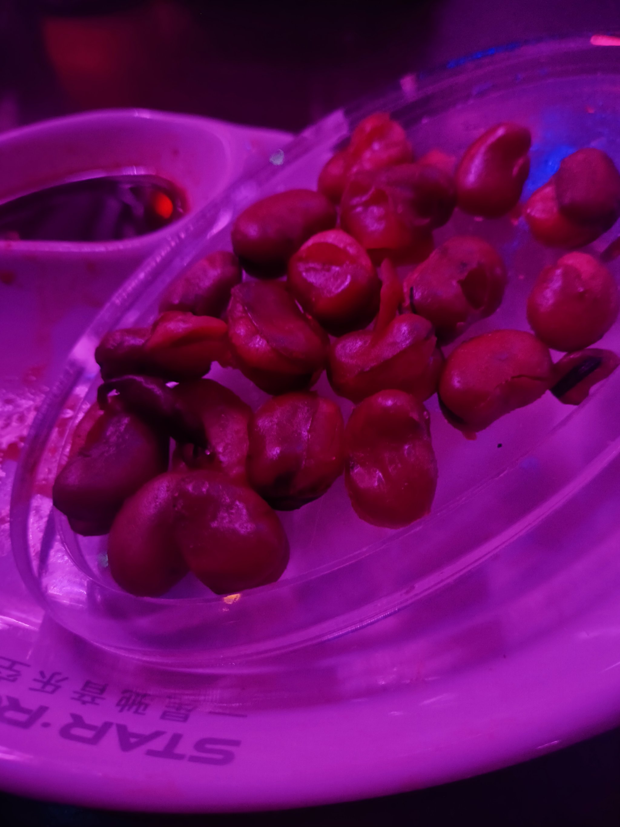 石家庄商务ktv引领新模式-高邑县ktv预定